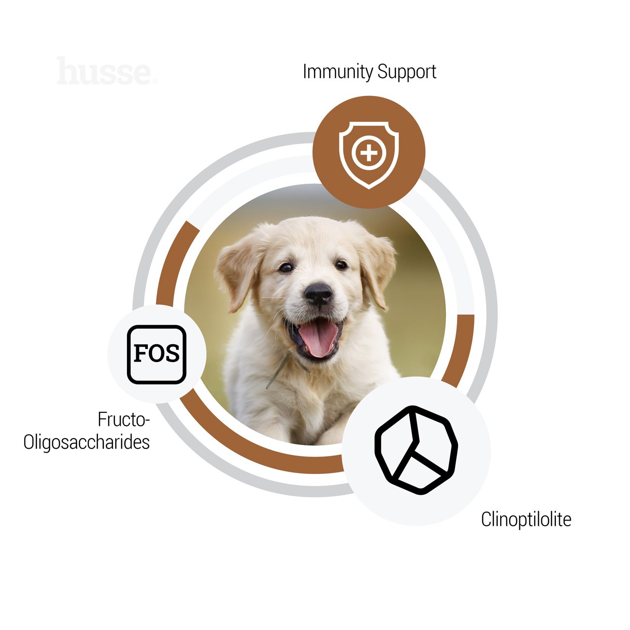 Sensitive Valp Digest | Gluten free dry food for puppies with digestive sensitivities