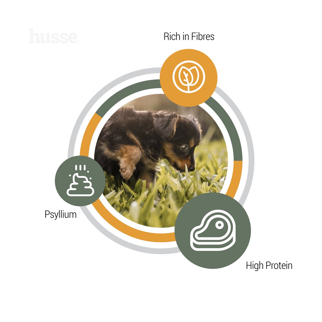 Valp Plus, 12.5 kg | Complete nutrition with psyllium & vegetable fibres for smooth digestion