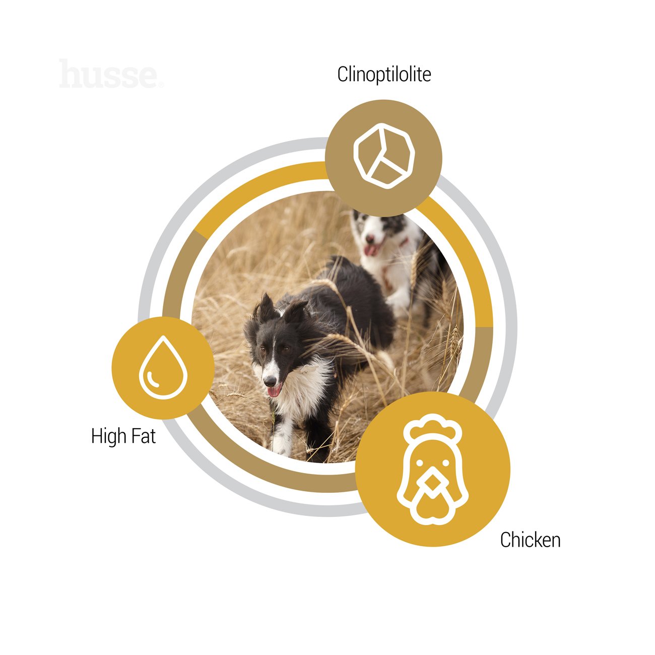 Opus Farm | Complete, grain free nutrition for active dogs with sensitive stomachs