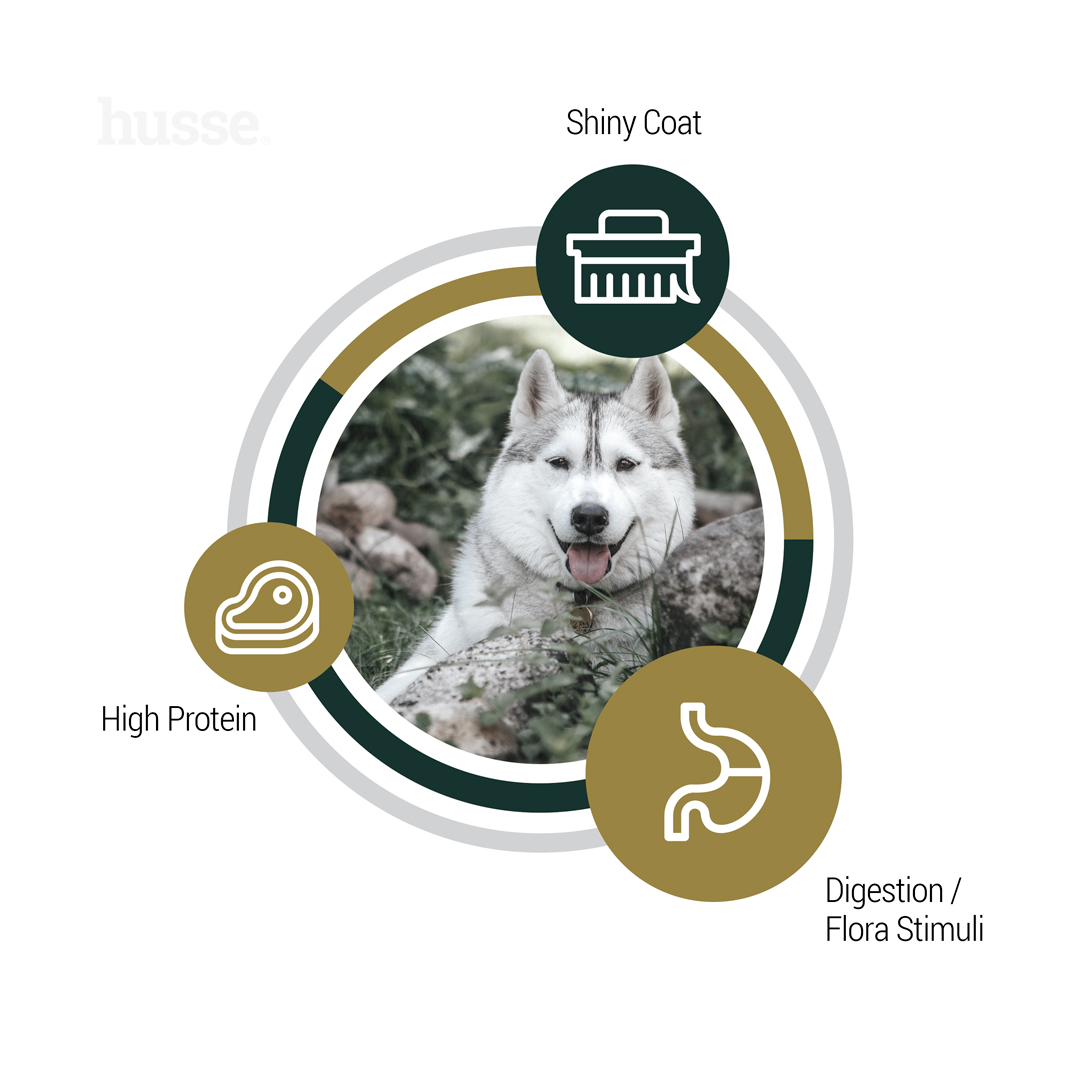 Mild | Cold-pressed nutrition for adult dogs with digestive sensitivities & intolerances