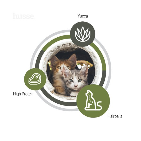 Exclusive Lyster Care, 7 kg | Kibbles for active cats or cats with sensitive skin & coat