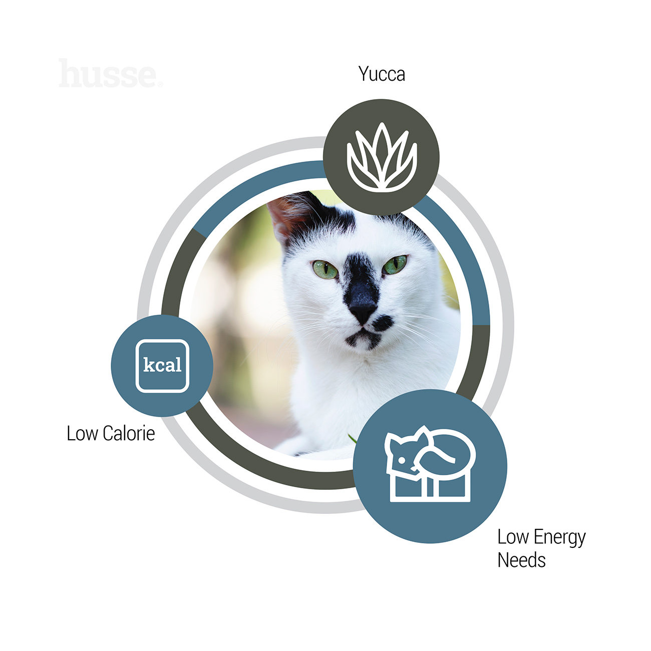 Exclusive Light, 7 kg | Cat dry food designed to help maintain healthy weight