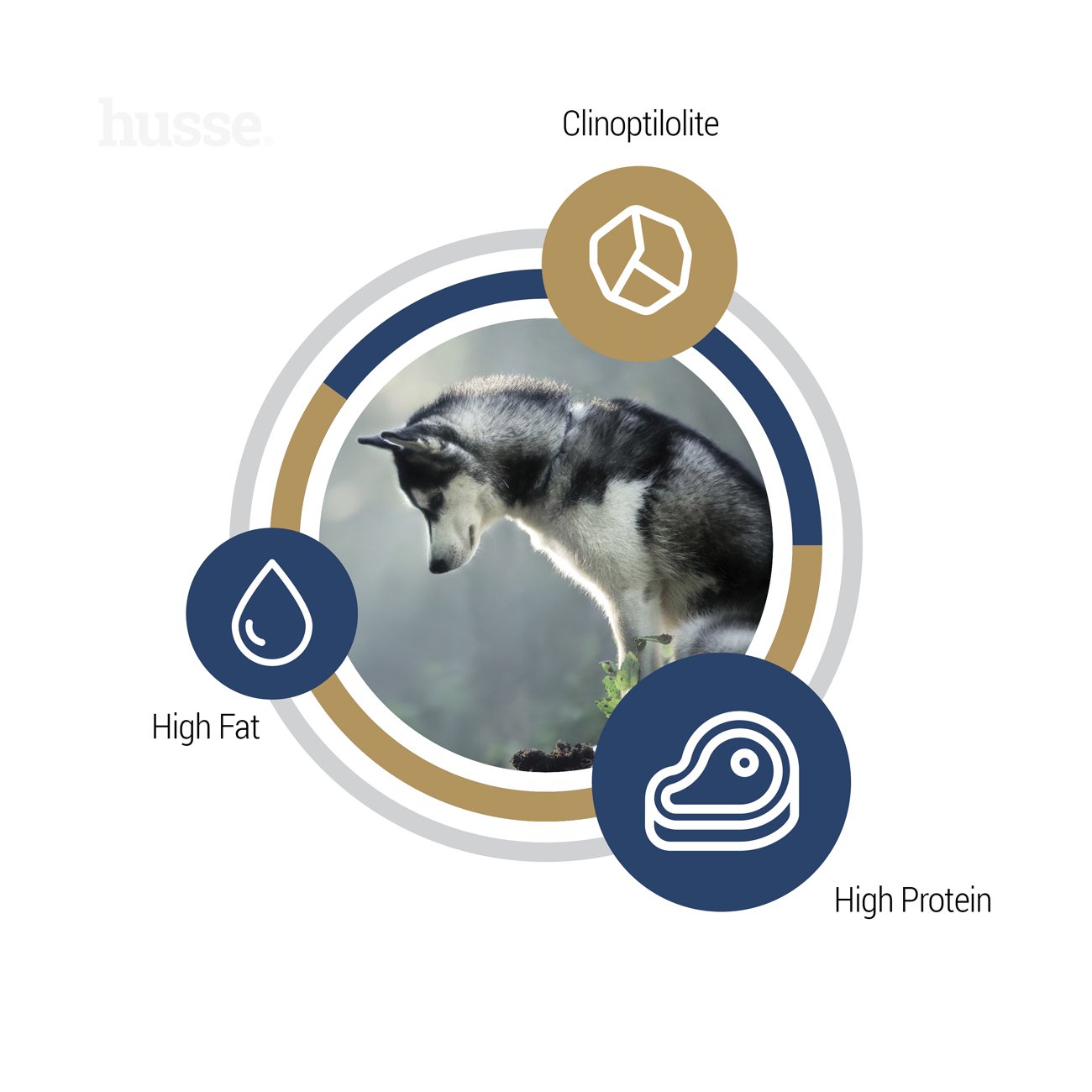 Opus Ocean | Complete, grain free dry food for active dogs with digestive sensitivities & intolerances