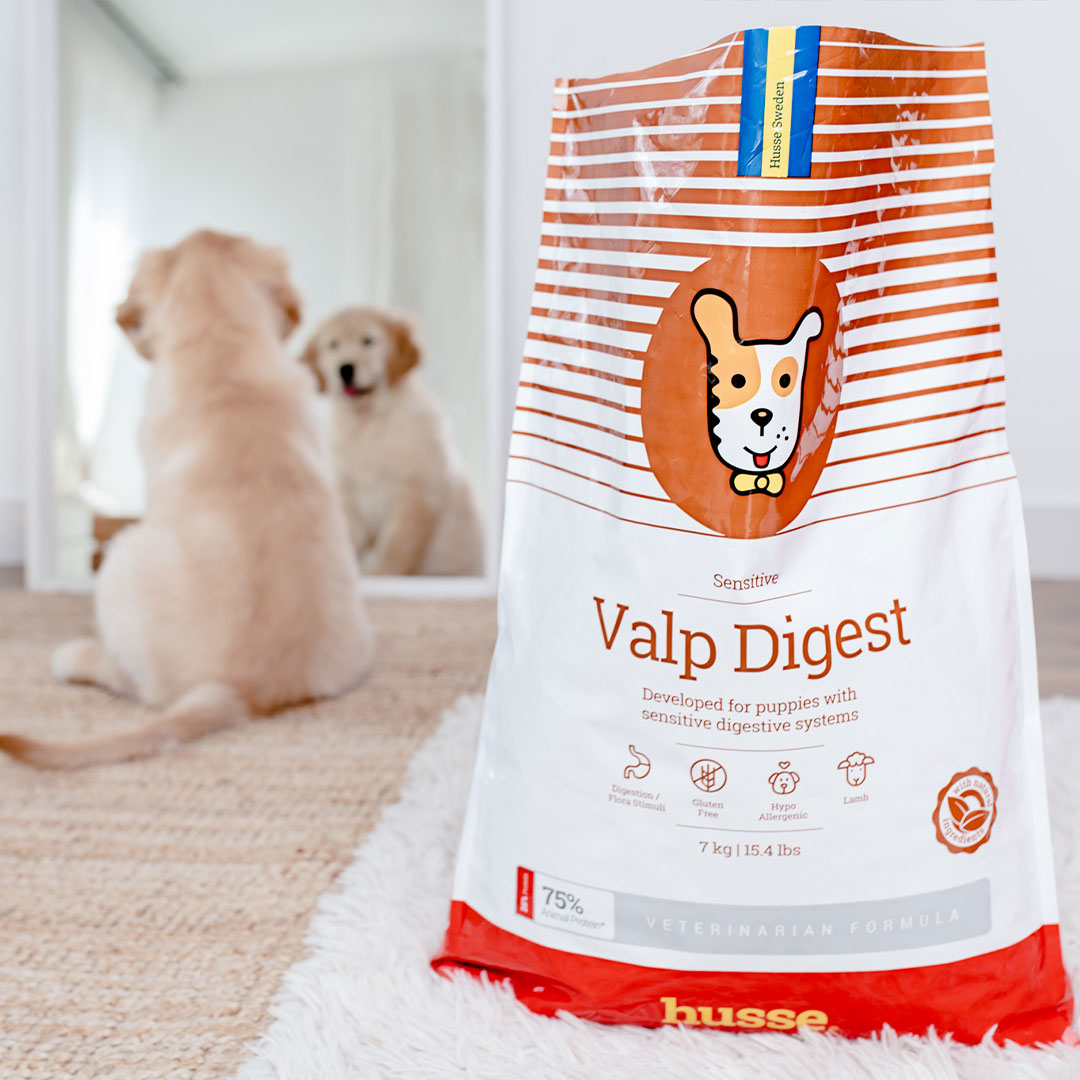 Sensitive Valp Digest | Gluten free dry food for puppies with digestive sensitivities