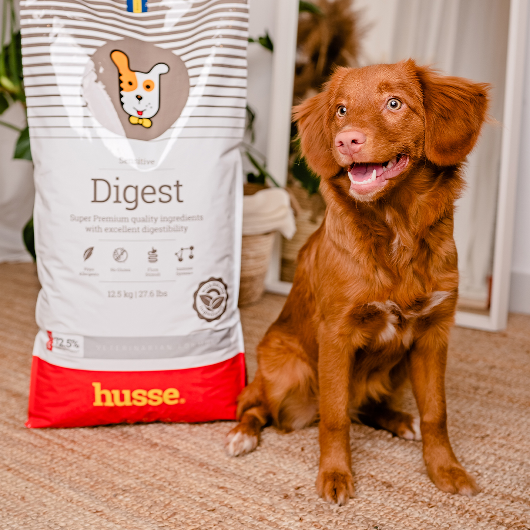 Sensitive Digest, 12.5 kg | Gluten free recipe with limited animal protein sources