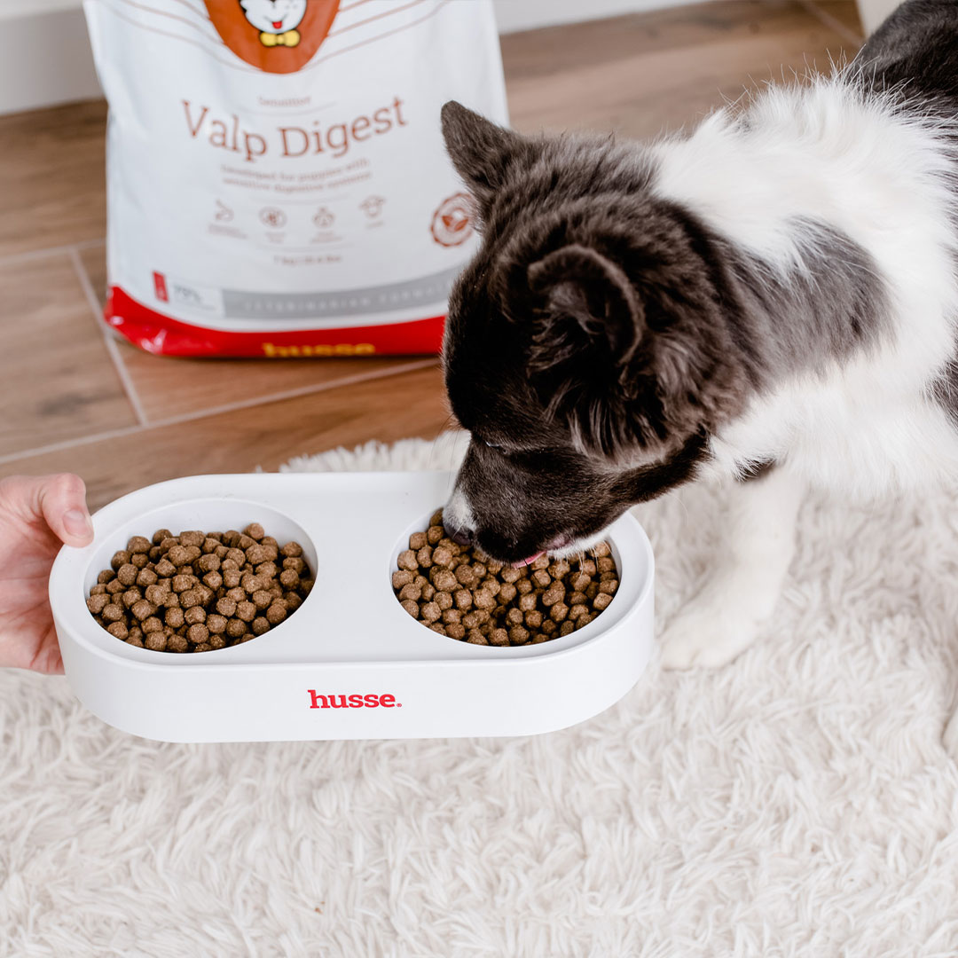 Sensitive Valp Digest | Gluten free dry food for puppies with digestive sensitivities