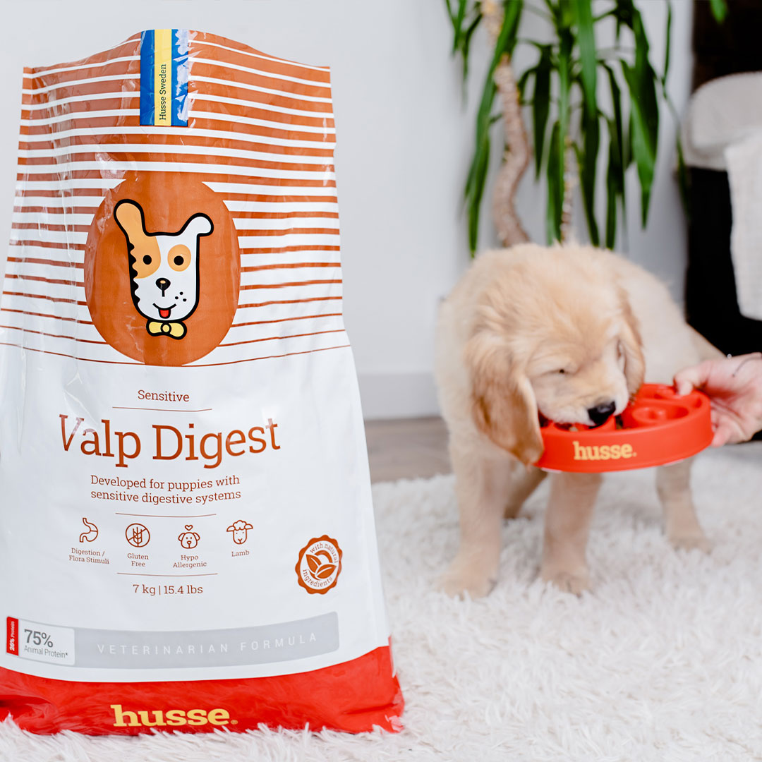 Sensitive Valp Digest | Gluten free dry food for puppies with digestive sensitivities
