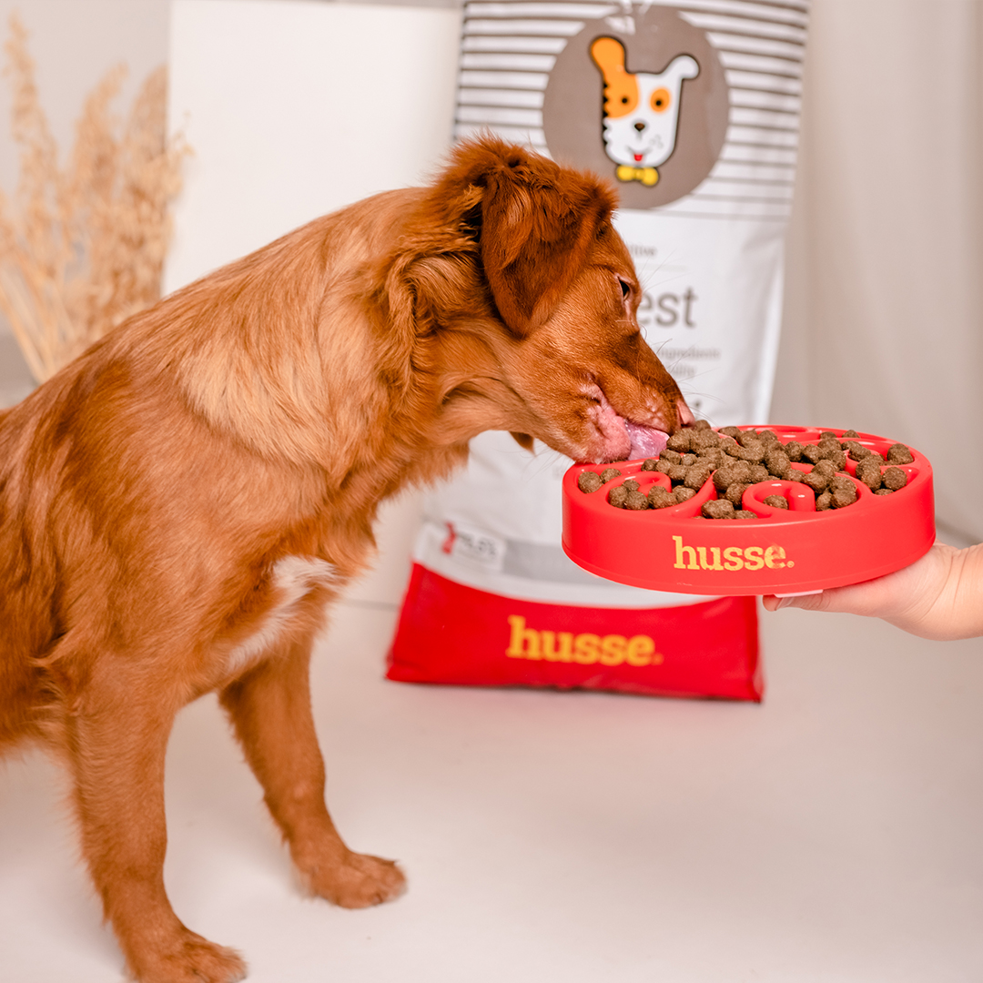 Sensitive Digest, 12.5 kg | Gluten free recipe with limited animal protein sources