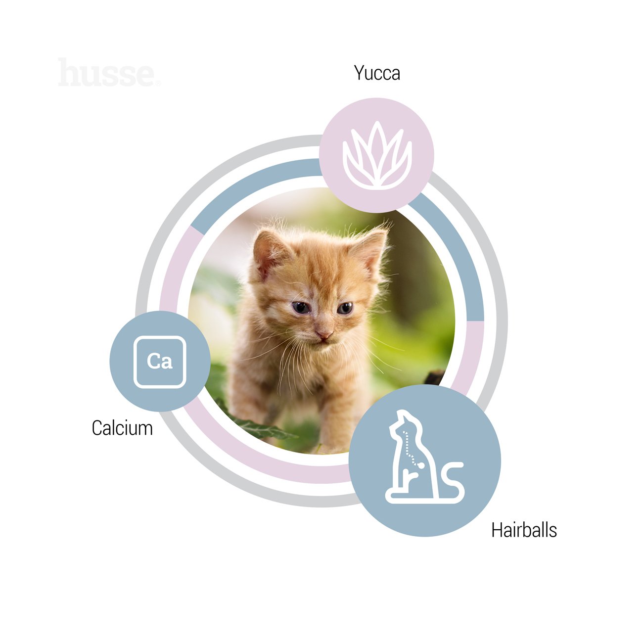 Exclusive Kattunge, 7 kg | Complete nutrition specially crafted for growing kittens