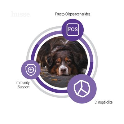 Senior, 12 kg | Complete nutrition with adapted calorie content to keep senior dogs in lean shape