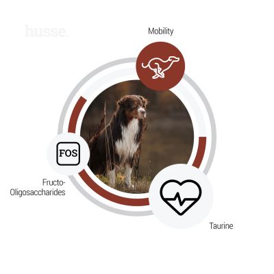 Sensitive Digest Giant | Hypoallergenic dry food for large breed dogs with digestive sensitivities