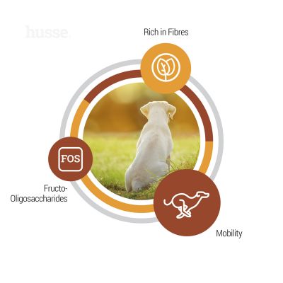 Valp Maxi | Balanced nutrition for puppies & mother dogs of large breeds