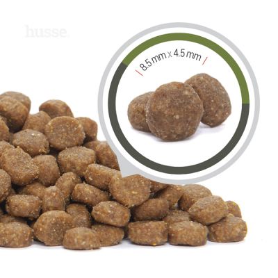 Exclusive Lyster Care, 7 kg | Kibbles for active cats or cats with sensitive skin & coat