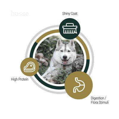 Mild | Cold-pressed nutrition for adult dogs with digestive sensitivities & intolerances