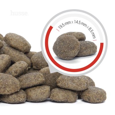Kibble shape and size of Husse Prima Plus dry food