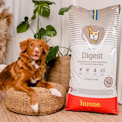 Sensitive Digest, 12.5 kg | Gluten free recipe with limited animal protein sources