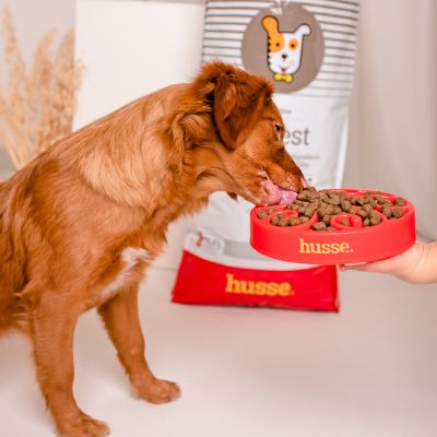 Sensitive Digest, 12.5 kg | Gluten free recipe with limited animal protein sources