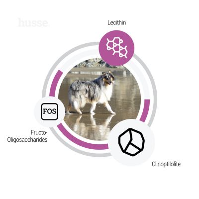 Sensitive Ocean Care, 12.5 kg | Gluten free recipe with a single animal protein source